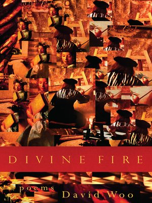 cover image of Divine Fire